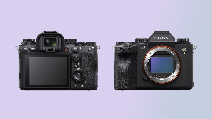 Sony a1 Review | The Best Sony Alpha Camera Of 2021