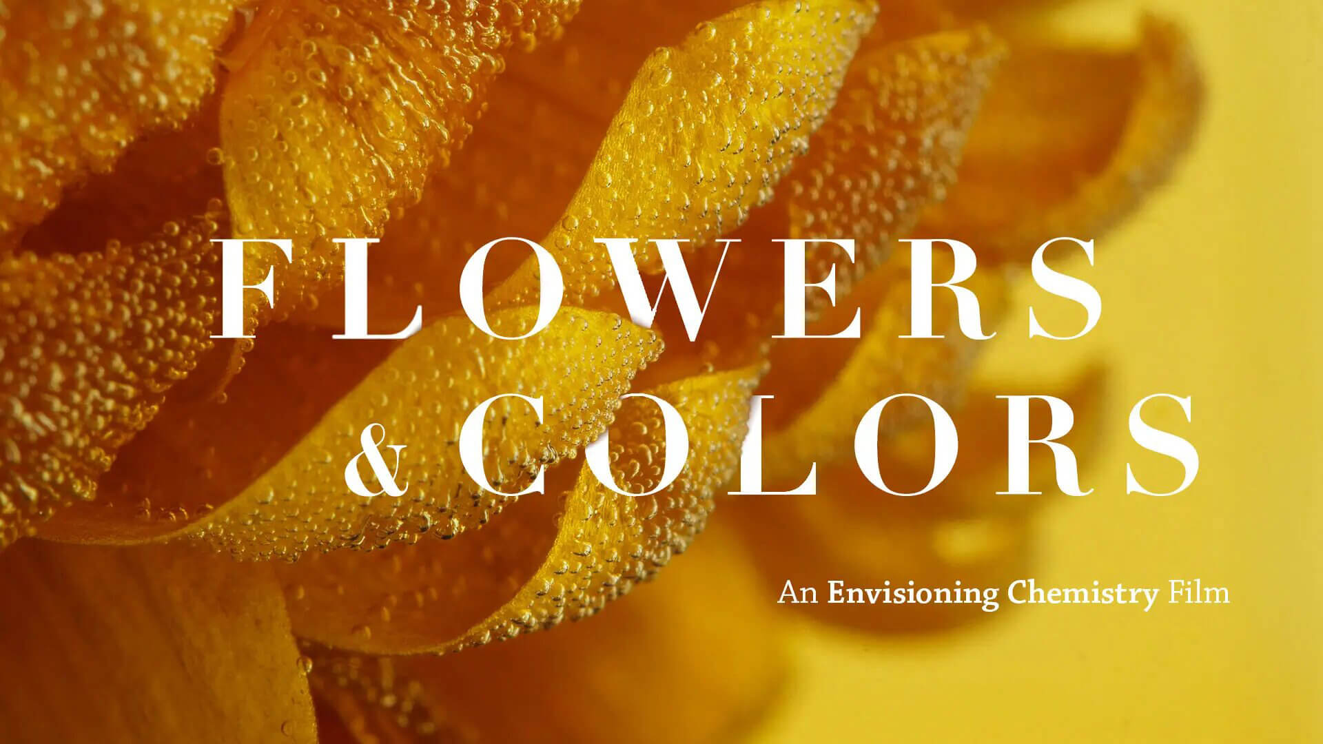 Envisioning Chemistry: Flowers & Colors