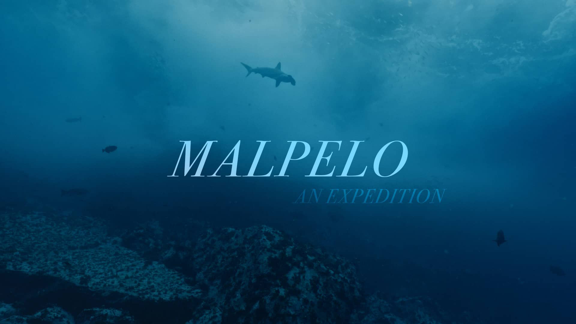Malpelo: An Expedition